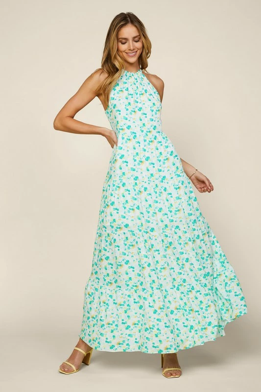 Skies Are Blue The Marsha Mint Green Floral Halter Maxi Dress Dresses