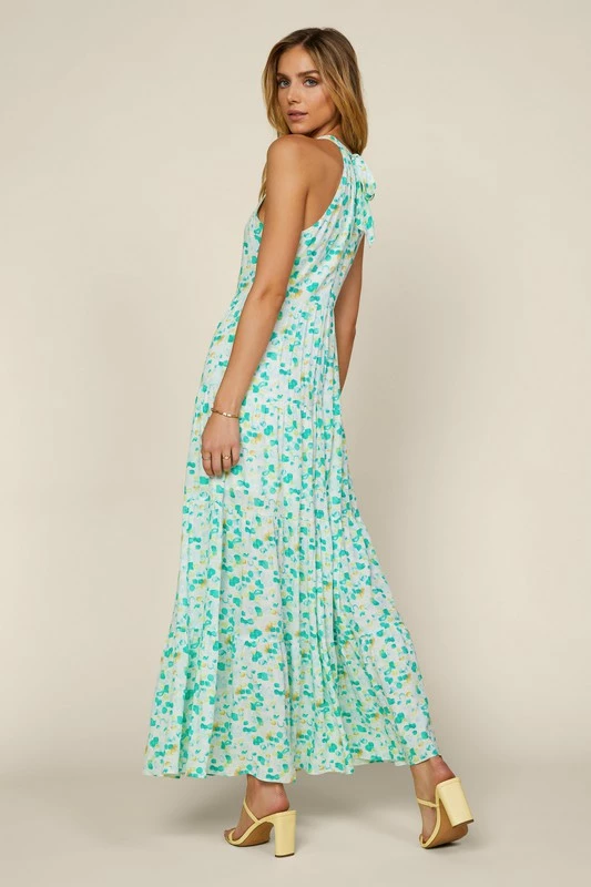 Skies Are Blue The Marsha Mint Green Floral Halter Maxi Dress Dresses